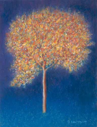 Tree in Blossom, 1997
